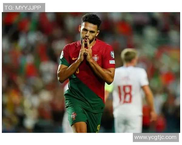 葡萄牙足球明星及其赛场精彩瞬间大集锦